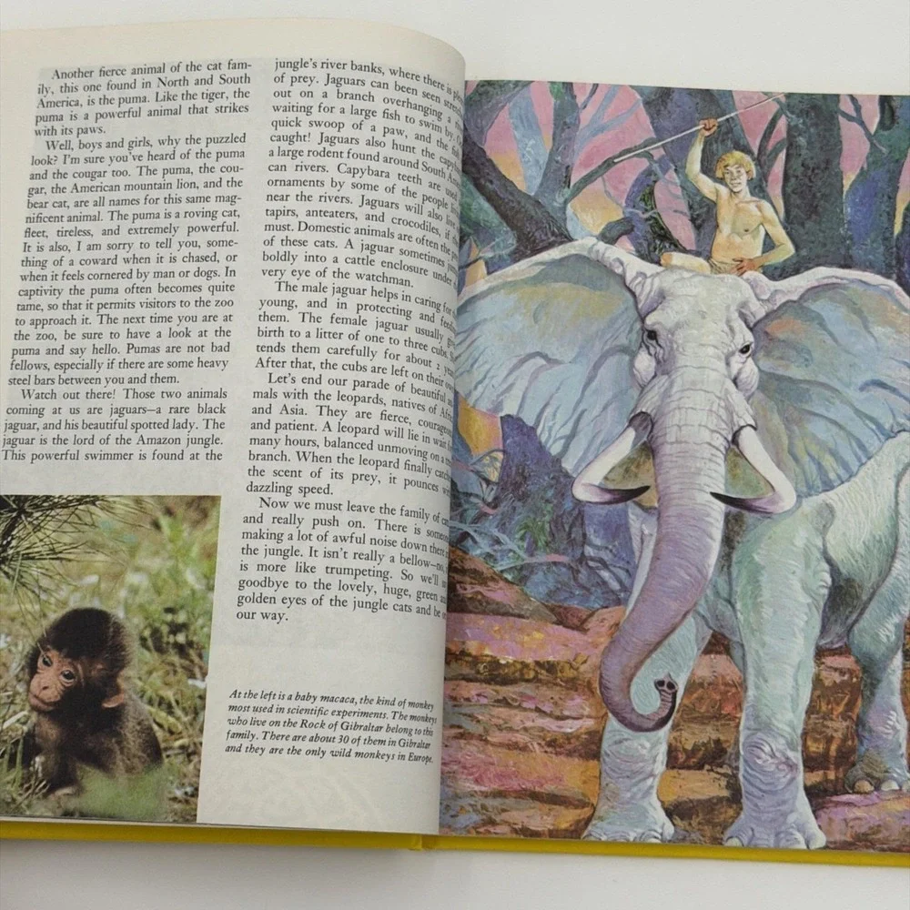 Disney Wonderful World of‎ Knowledge Books Vol 1 2 Animals Nature Grolier 1986